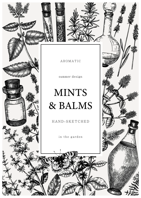 Hand-drawn perfumery and cosmetics ingredients card. Decorative background with vintage mints and balms herbs for perfumery. Organic cosmetics design template. Aromatic plants flyer